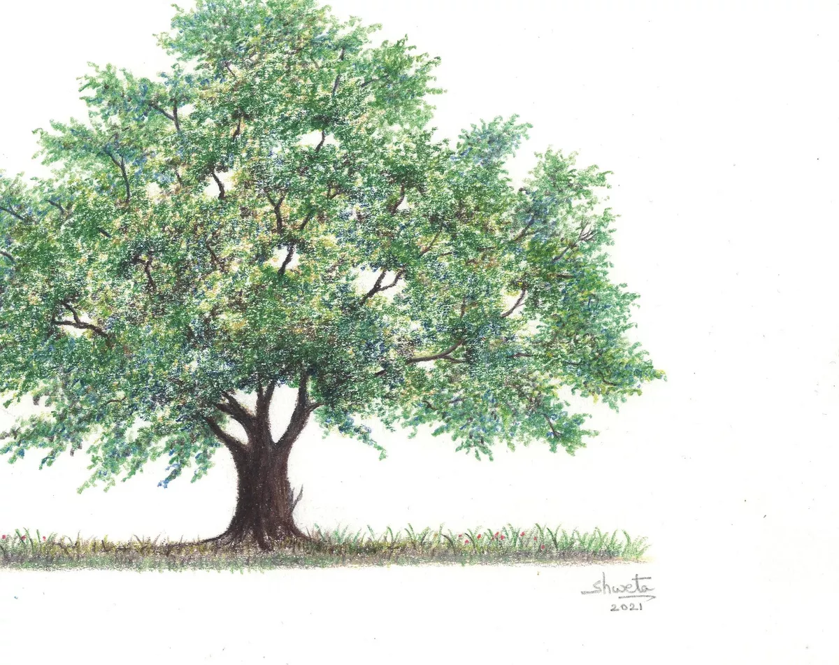 Spirit_of_the_oak_tree